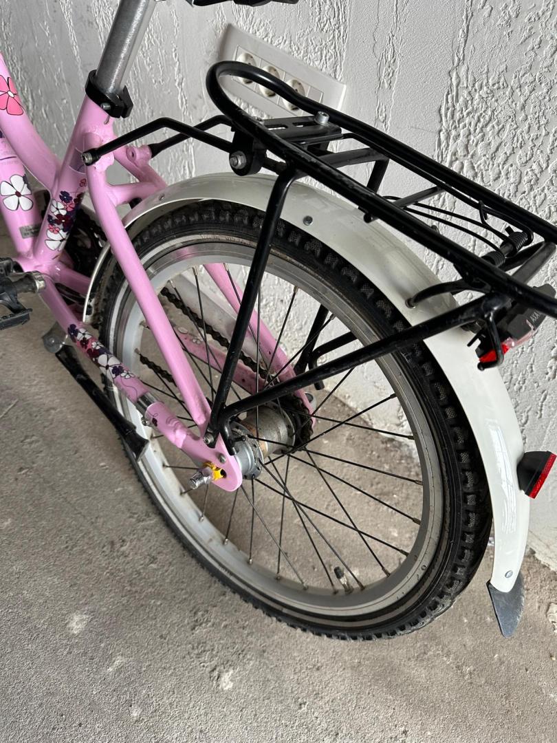 Bicicleta Copii FALTER FX 203 PRO  image 2