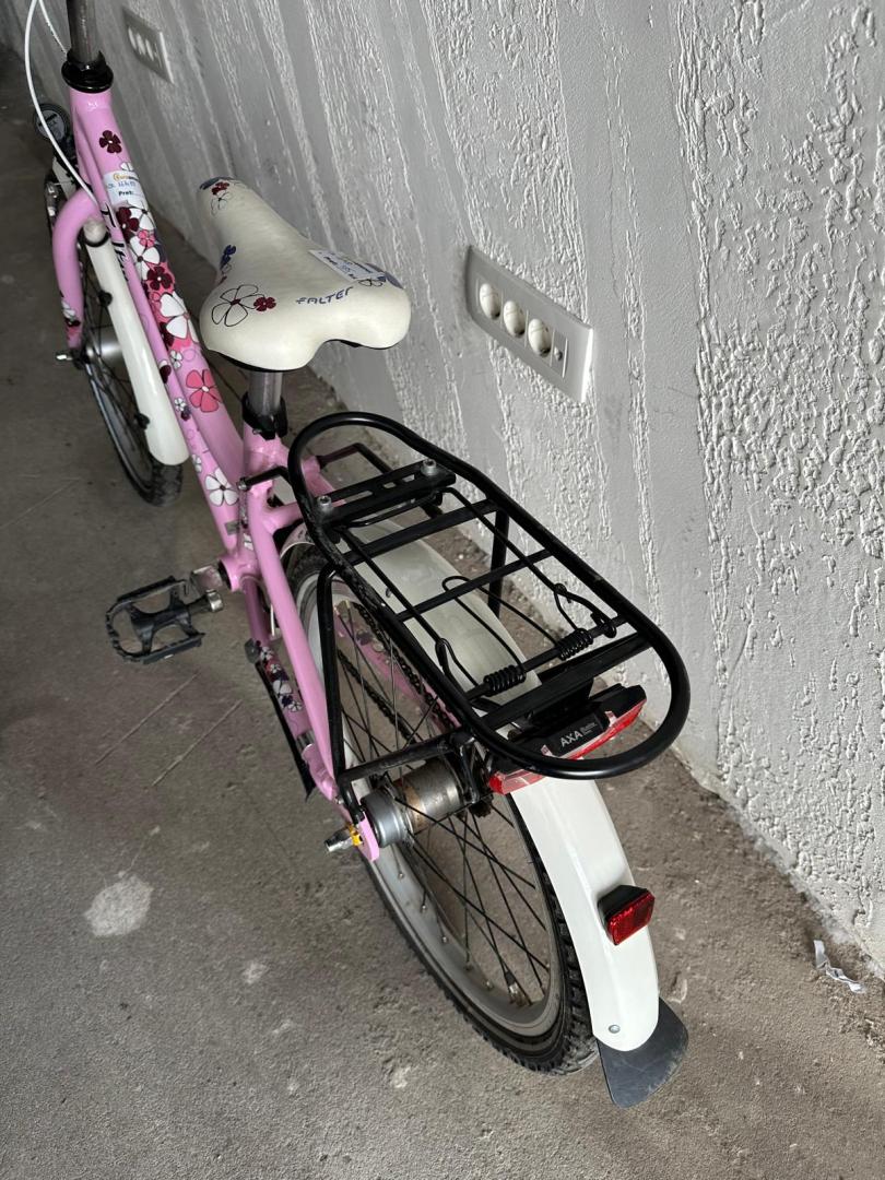 Bicicleta Copii FALTER FX 203 PRO  image 3