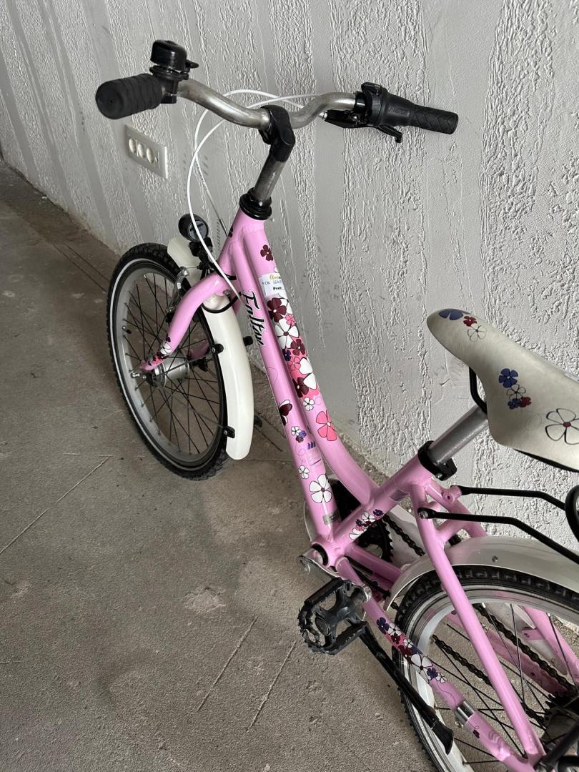 Bicicleta Copii FALTER FX 203 PRO  image 5