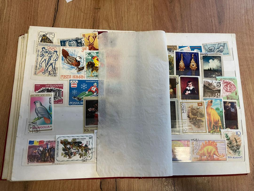 Clasor de timbre image 4
