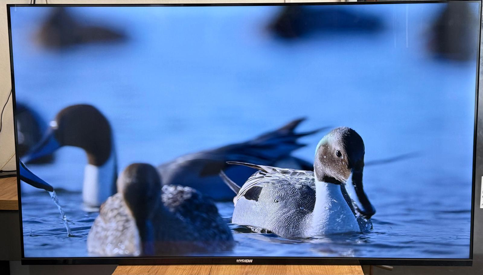 Televizor Smart LED Vision Touch VTTV A504KVS, 126 cm, Ultra HD 4K, Clasa E