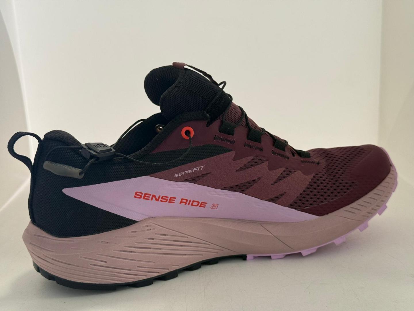 Salomon Pantofi Sport Sense Ride 5 GTX image 1