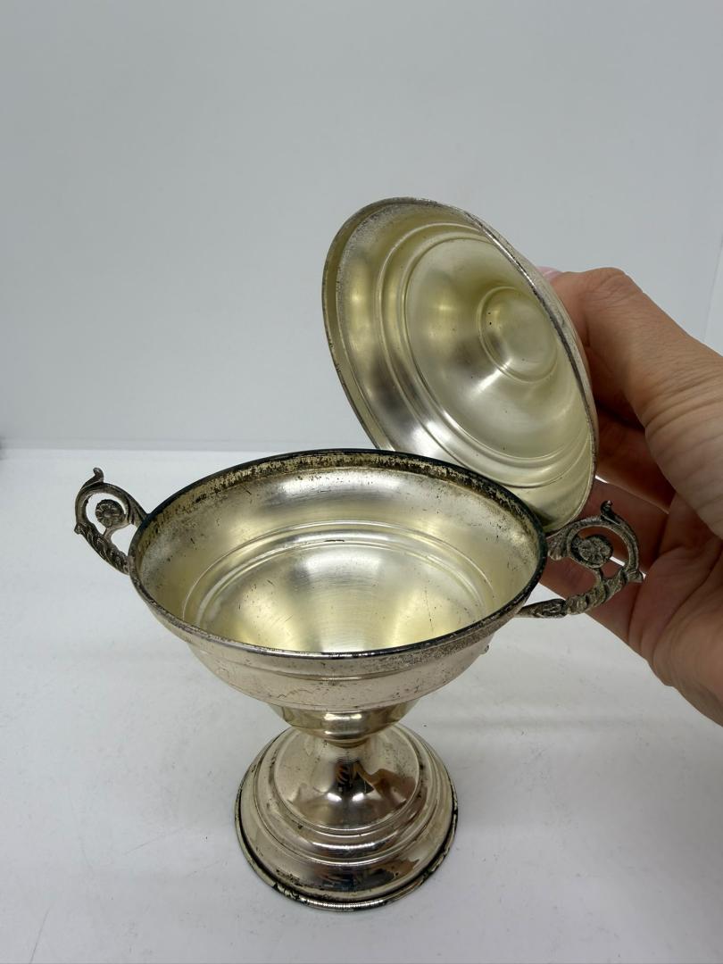 Zaharnita din Argint image 2