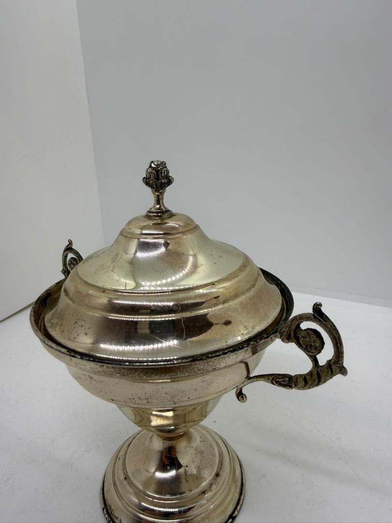 Zaharnita din Argint image 3