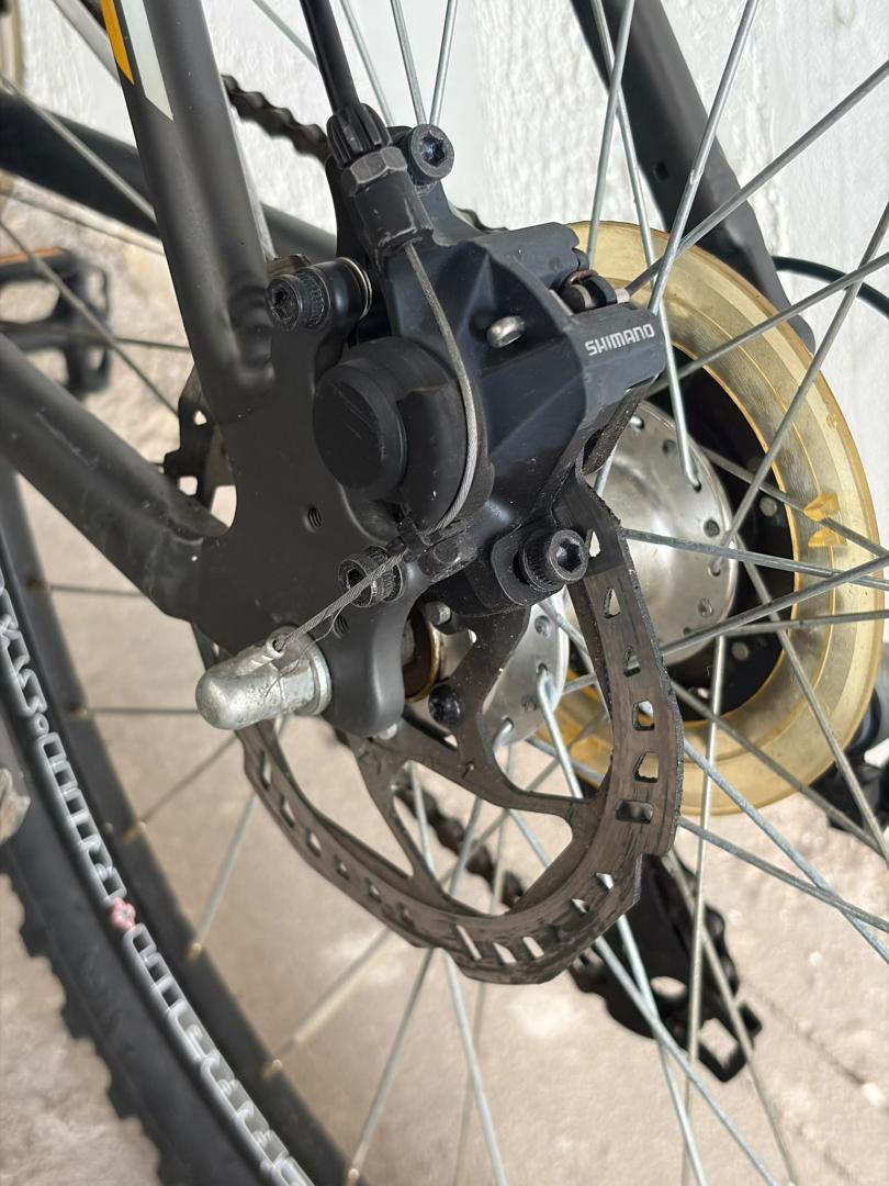 Bicicleta MTB Dinotti X301L image 1