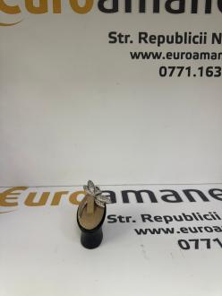 Medalion argint 9.19 GR