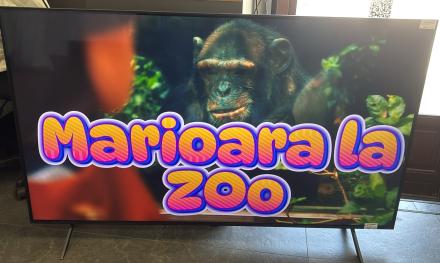 Smart TV LG - 65QNED80A3A, 65'', QNED, 4K, negru