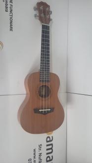 Ukulele Arrow MH-10 Concert