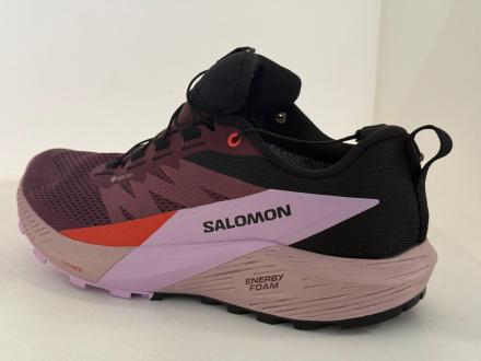 Salomon Pantofi Sport Sense Ride 5 GTX