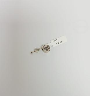 Medalion/Charm Argint 925